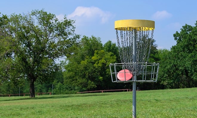 Disc Golf net.