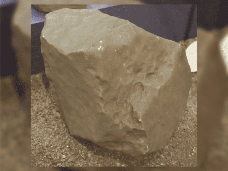 the Bruderheim Meteorite.