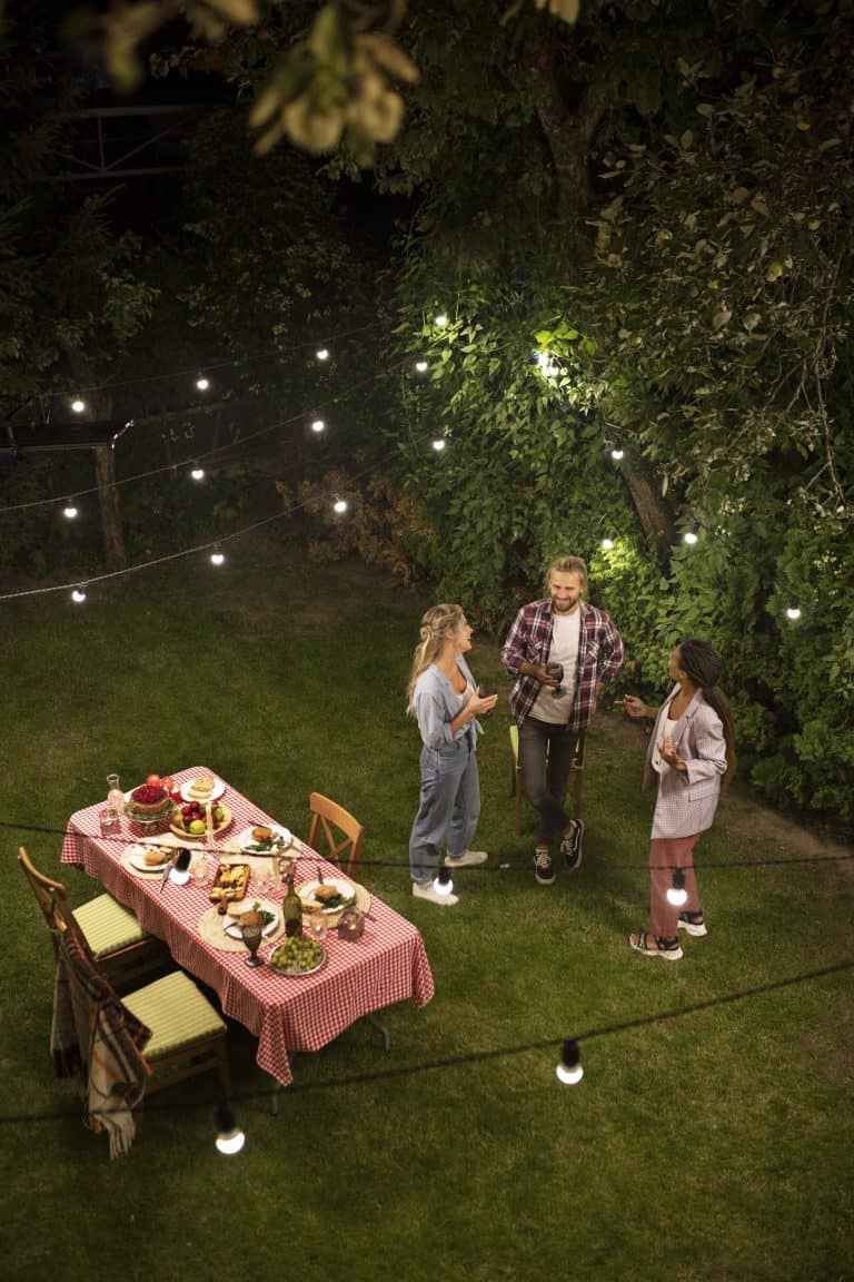 Stock image of a backyard party in summer
