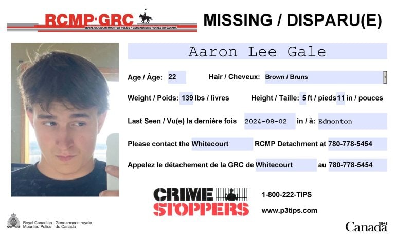 Aaron Gale missing poster