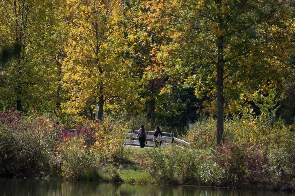 Rundle Park in the fall.