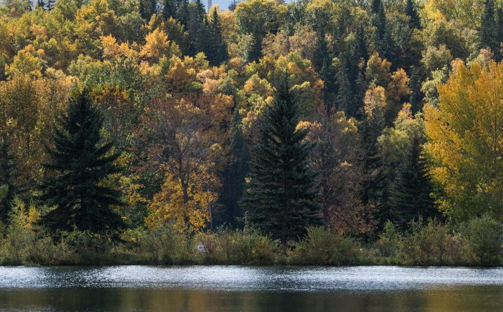 Rundle Park in the fall