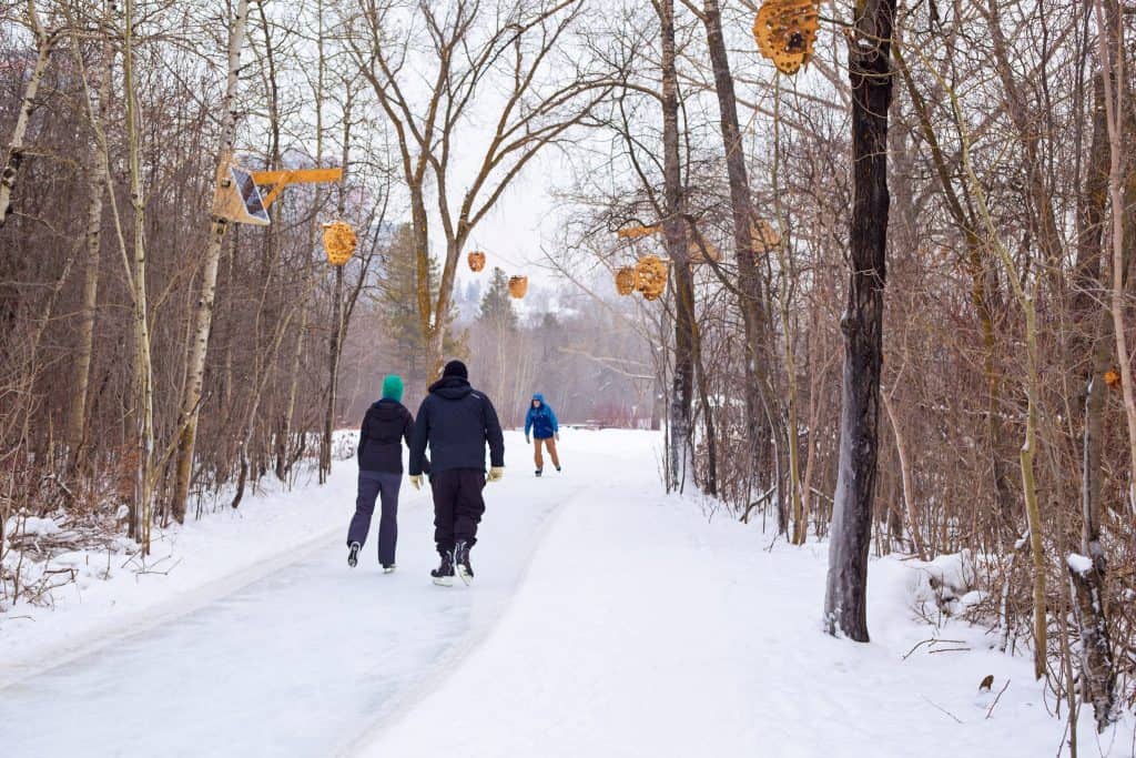 Victoria Park Iceway