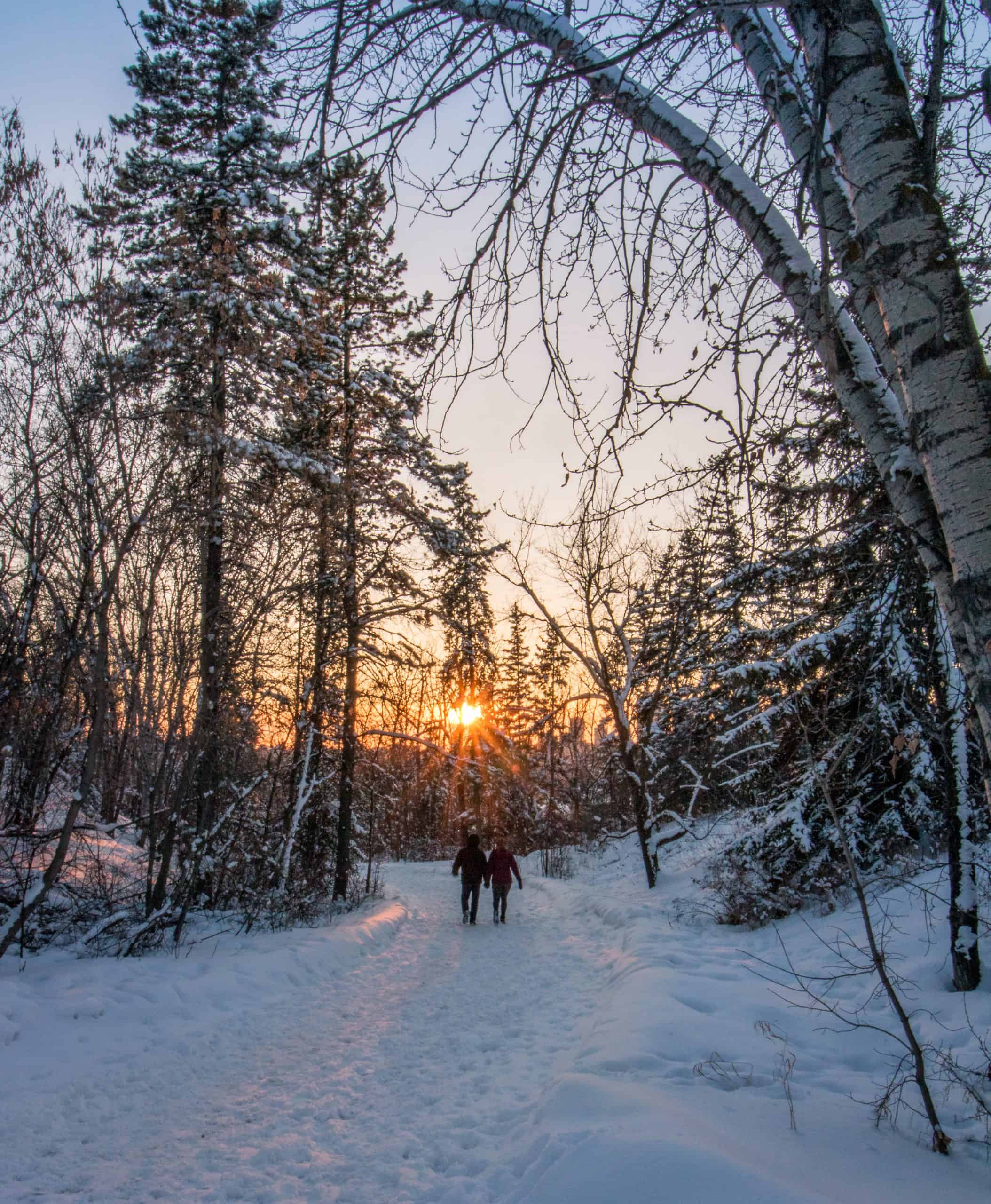 Forest Height trails in winter at sunset