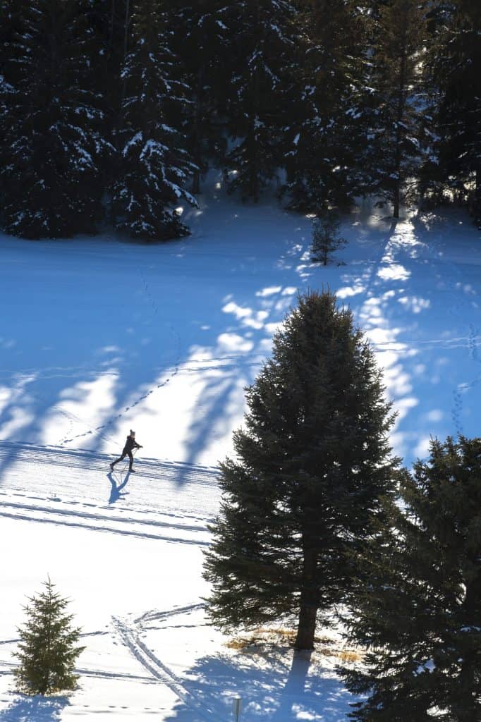 River valley with a cross-country skier