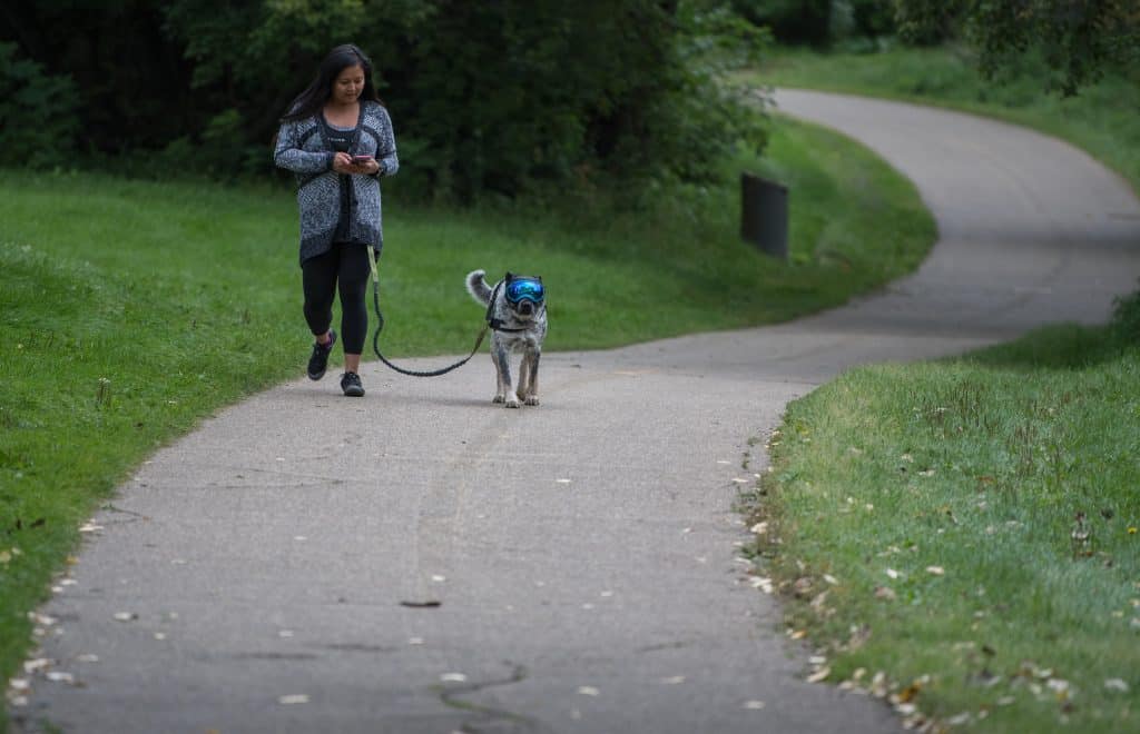 River Valley paved trails