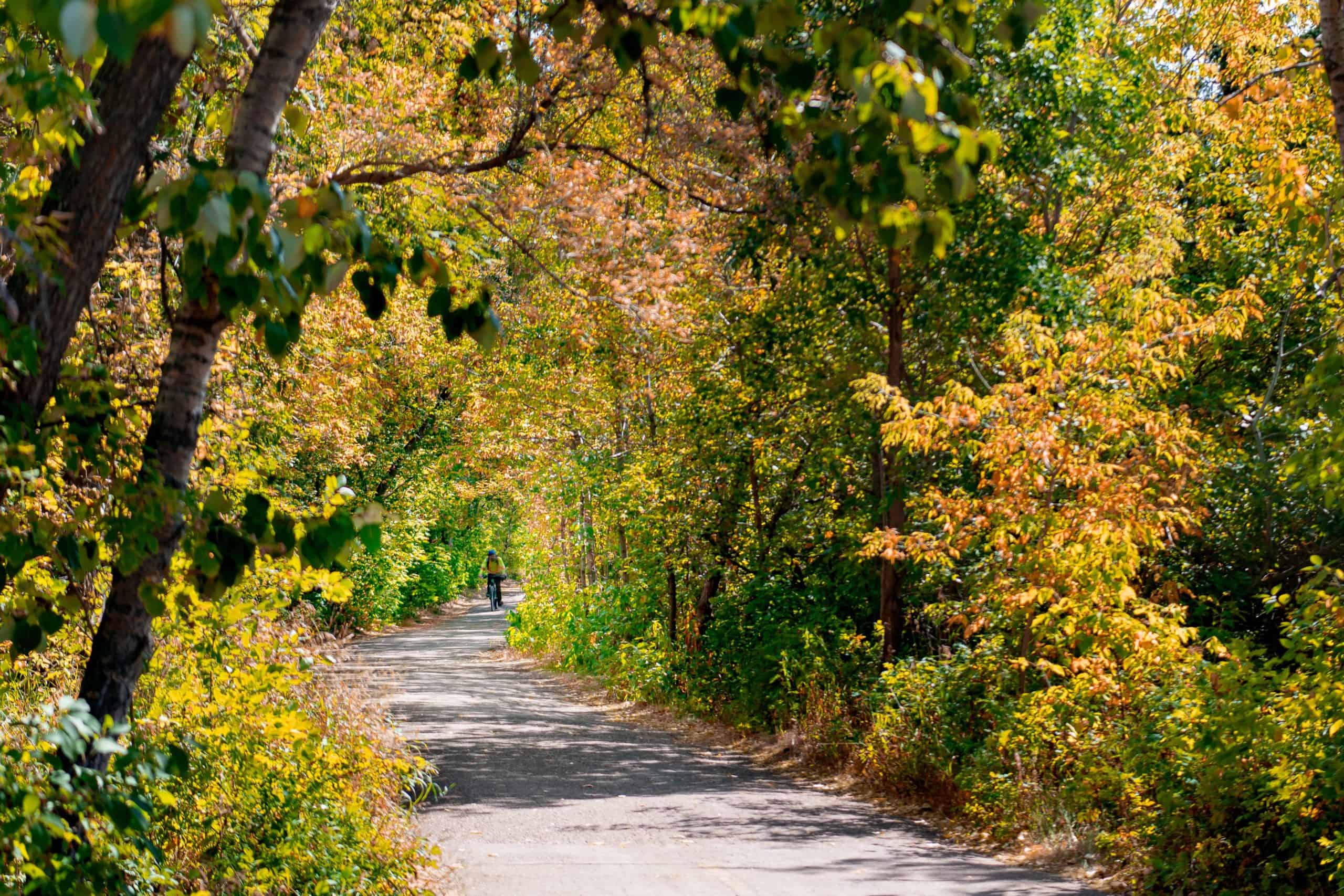 River valley trail in fall