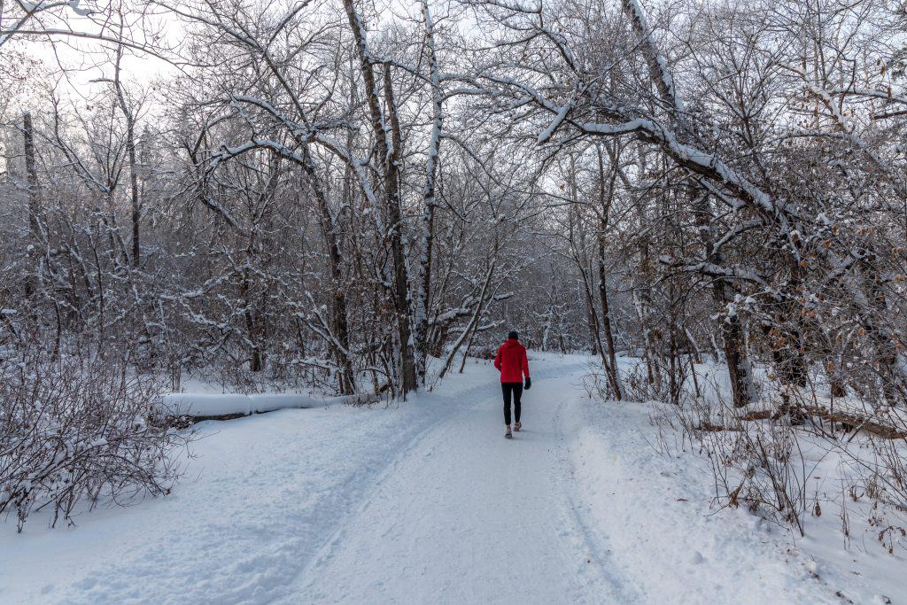 River Valley trail in winter