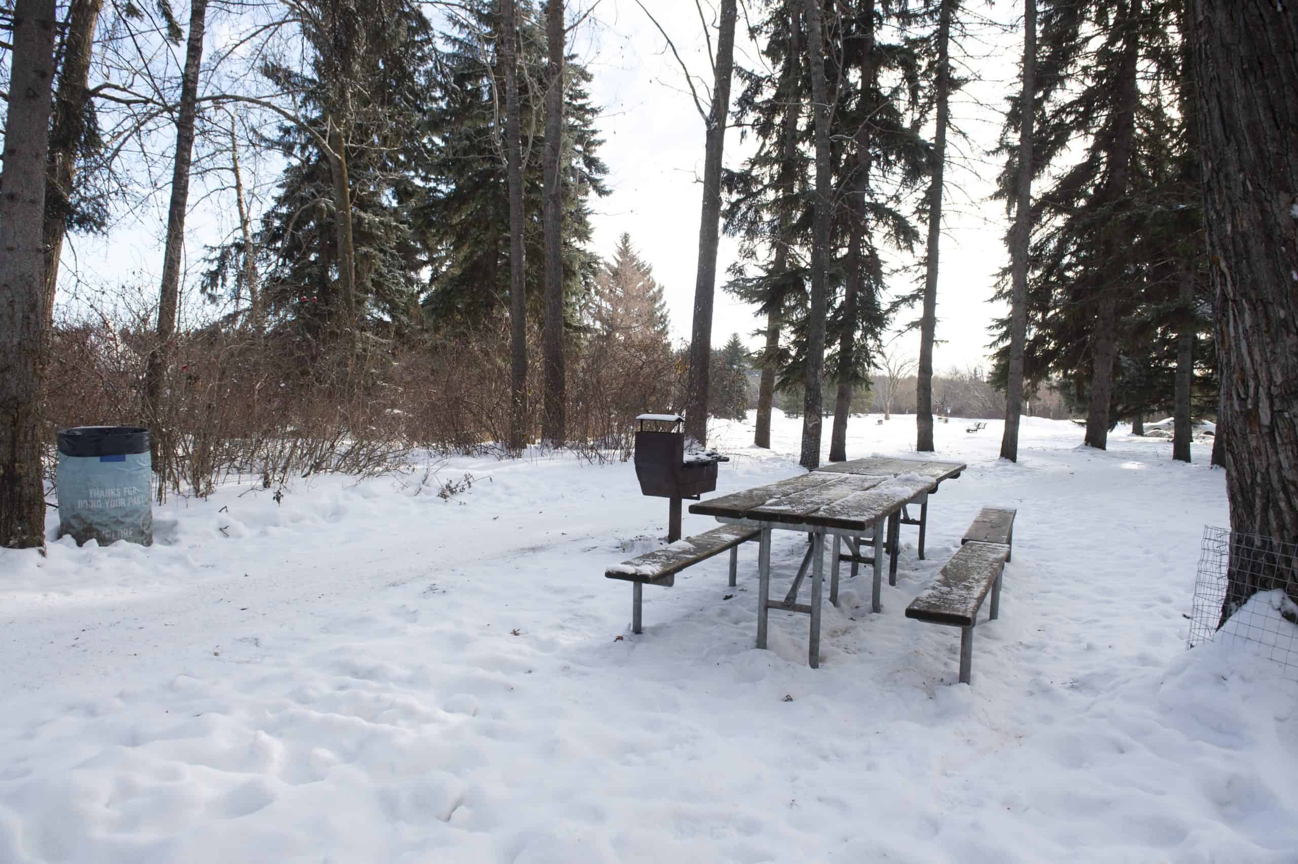 River Valley winter picnic site