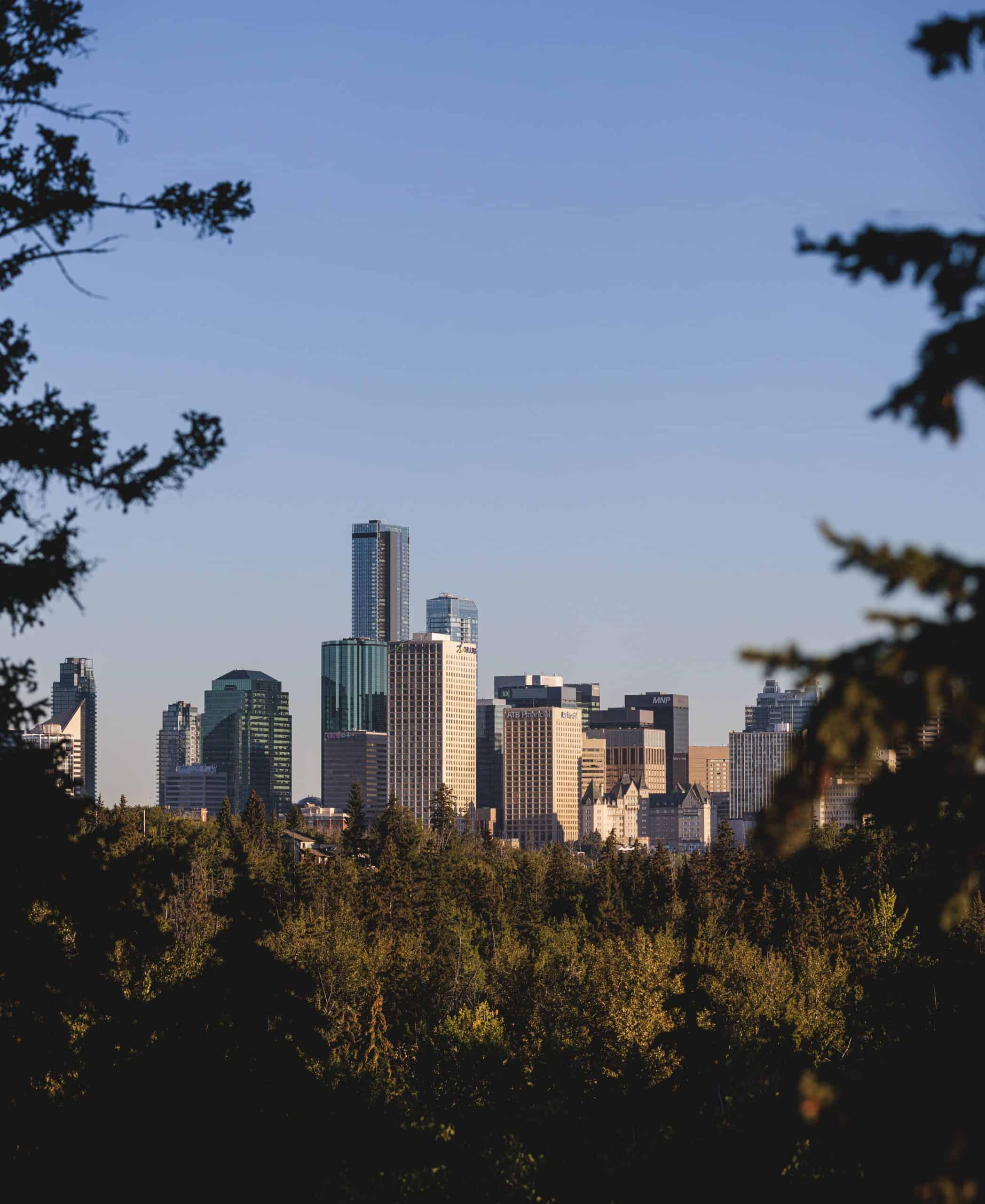 Downtown skyline through the trees.