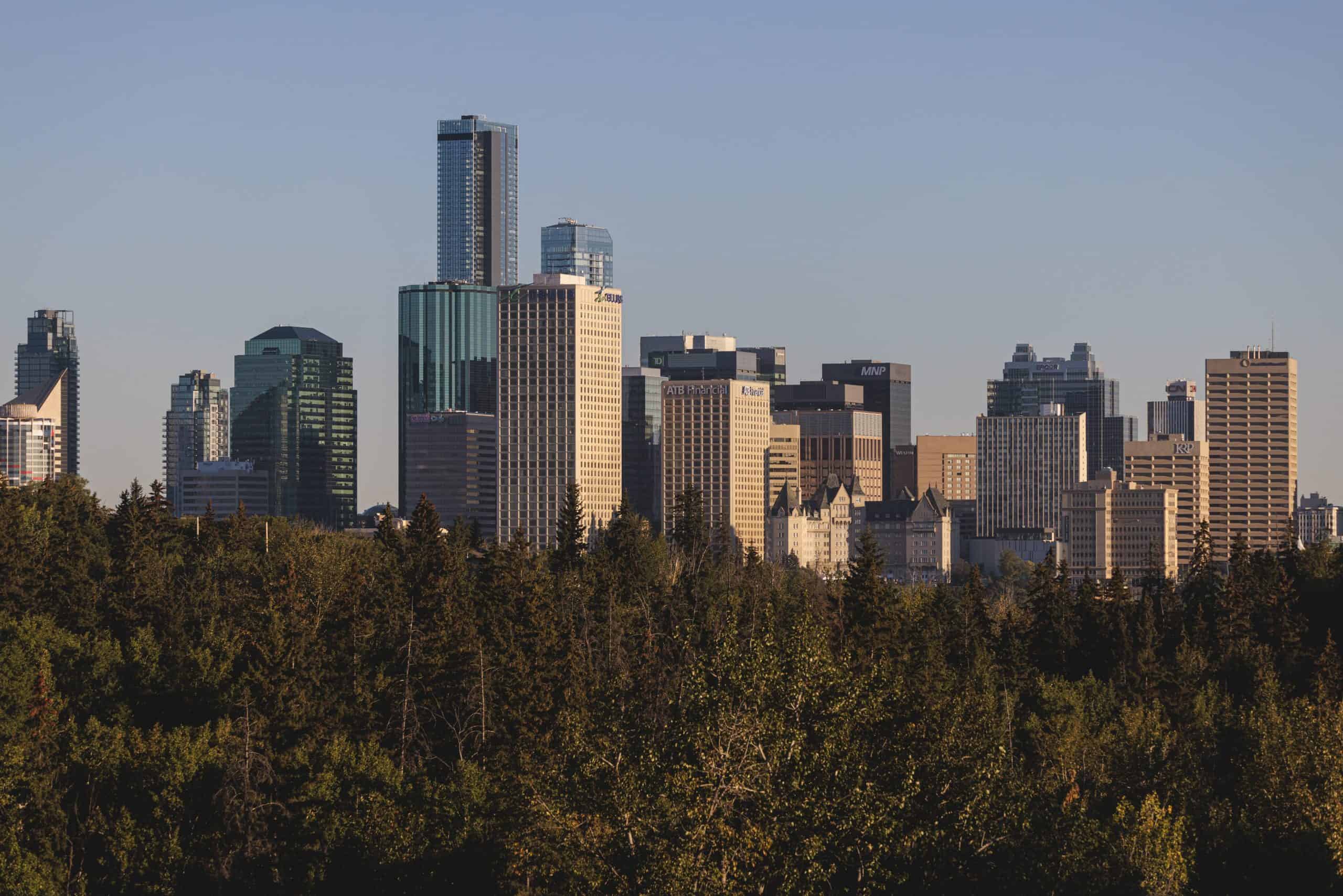 Skyline with treetops