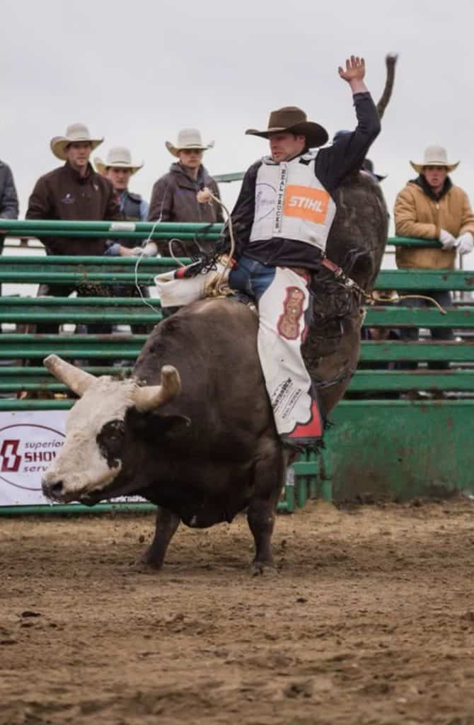 A bull rider riding a bull