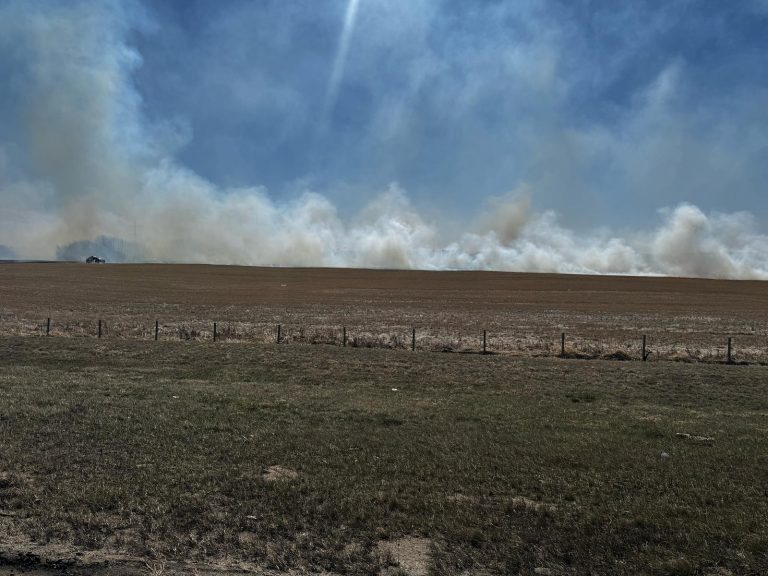 Wildfire closes Henday from Wye Road to Yellowhead