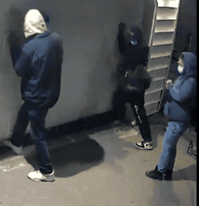 Image of suspects in Edmonton garage break-ins.